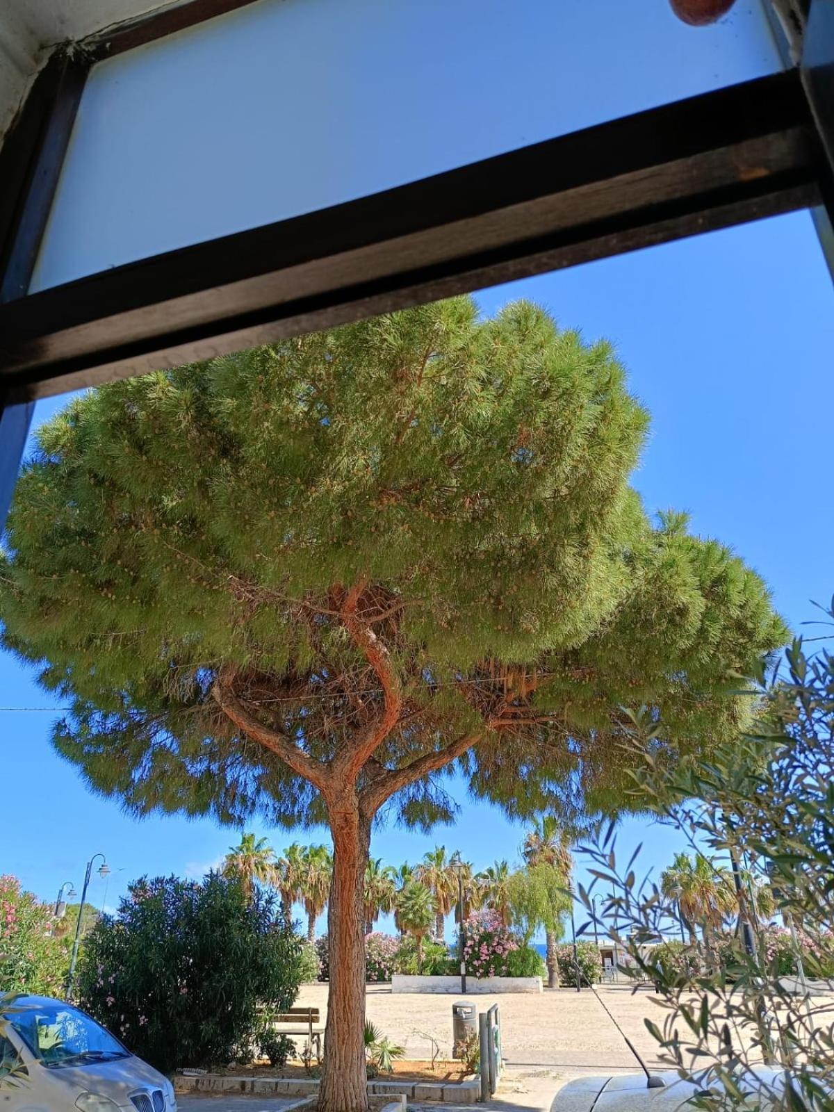 Da Cappellini Bed and Breakfast Isola delle Femmine Exteriör bild